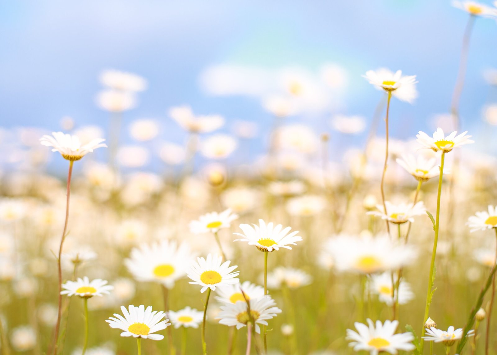 SEASONAL HOLIDAYS – APRIL 2022